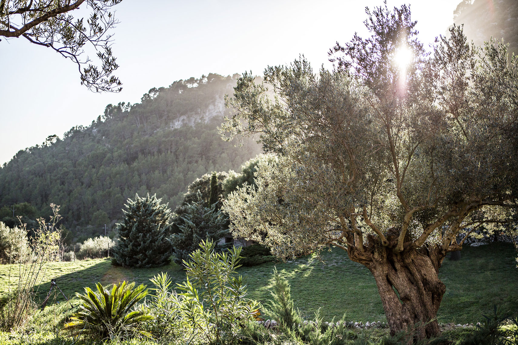 YogaRetreatMallorca1401